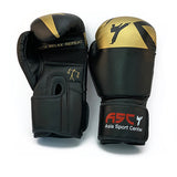 Boxhandschuhe / Boxing Glove